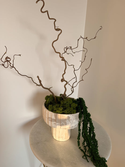 Ikebana Kompozicija Su Vaza