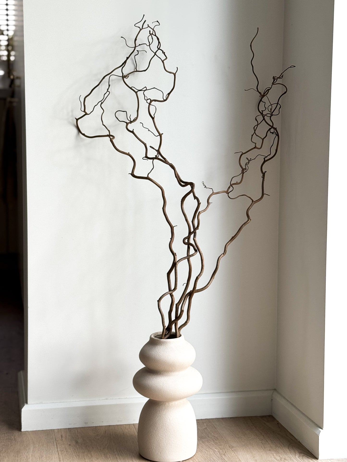 Garbanoto Lazdyno Šakelė 80cm