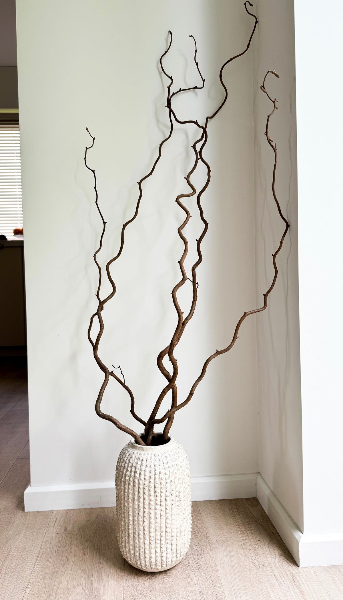 Garbanoto Lazdyno Šakelė 65 cm