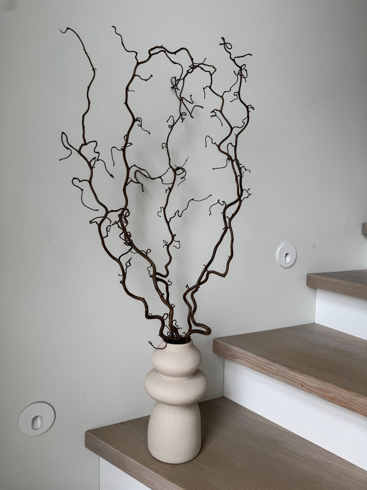 Garbanoto Lazdyno Šakelės 5vnt 80cm