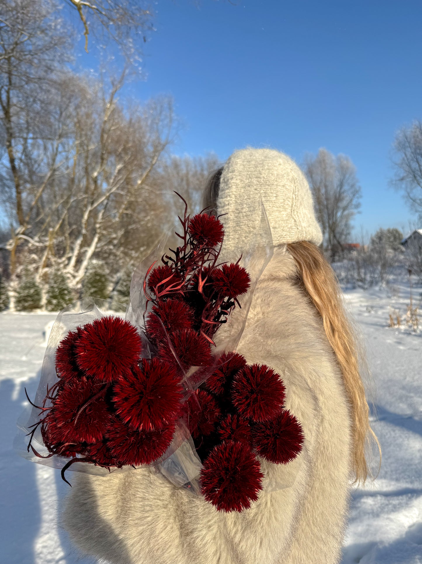 Burgundiškas Bandrenis