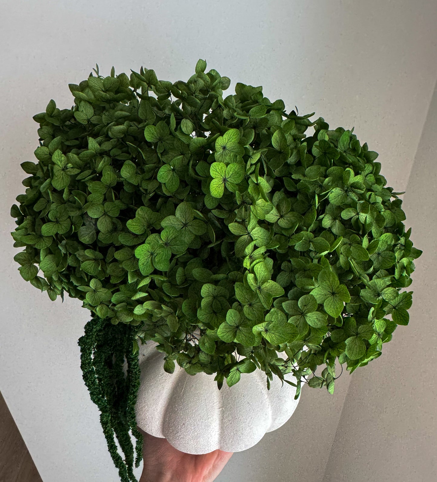 Puokštė Bundanti Žaluma