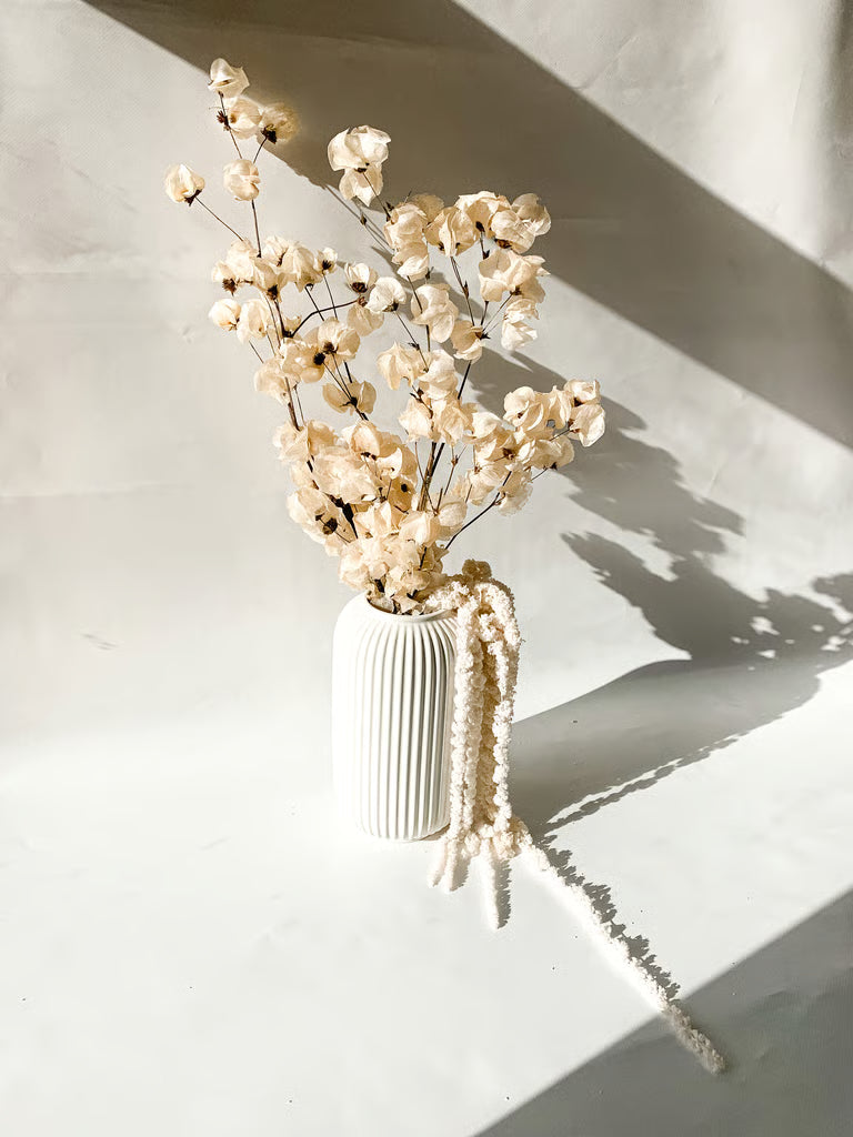 Balinta Bugenvilijos šakelė