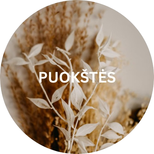 PUOKŠTĖS