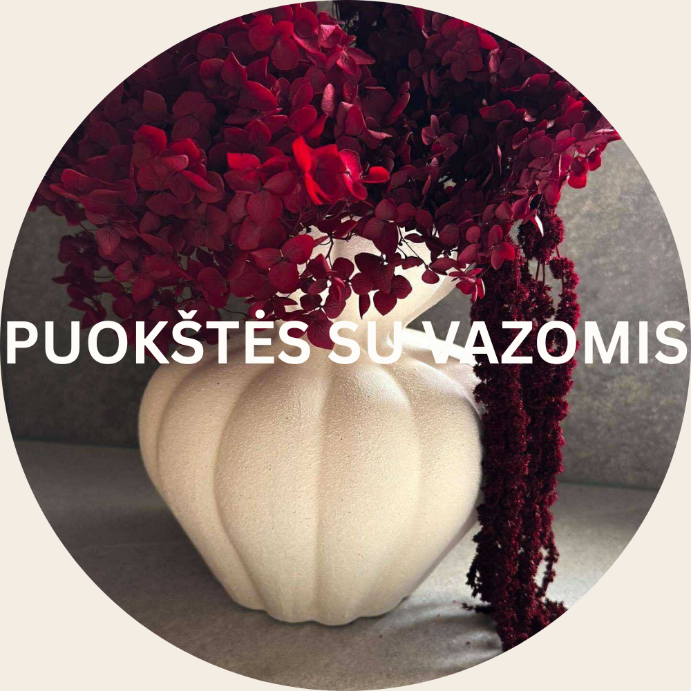 PUOKŠTĖS SU VAZOMIS