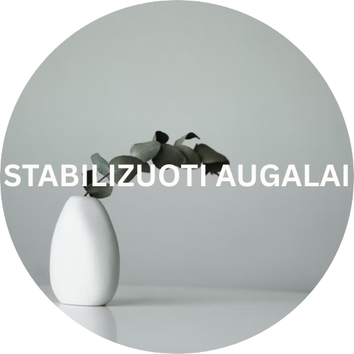 STABILIZUOTI AUGALAI