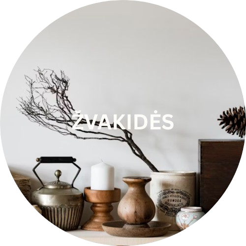 ŽVAKIDĖS