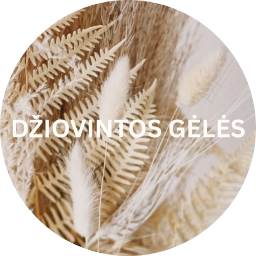 DŽIOVINTOS GĖLĖS