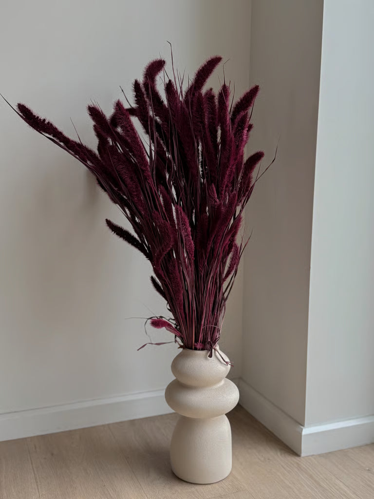 Džiovinta Burgundiška Setaria