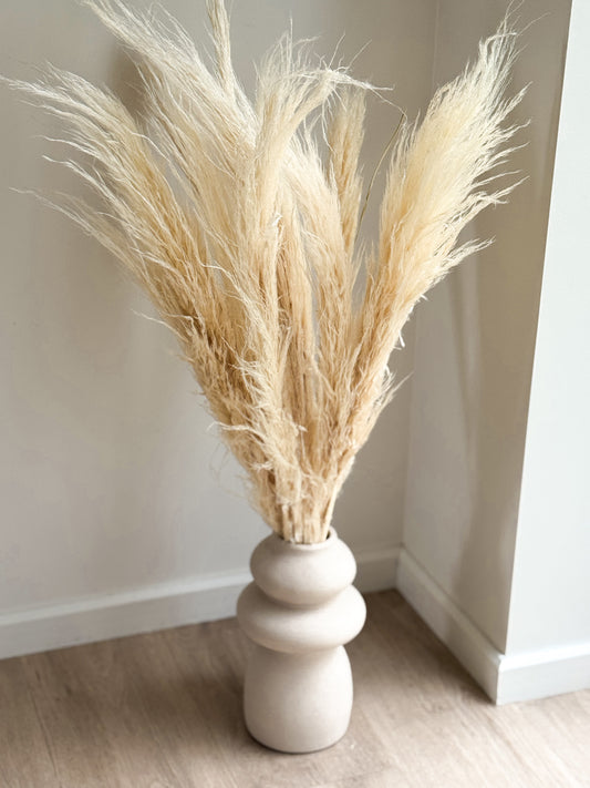 Balintų Pampa Smilgų Puokštė