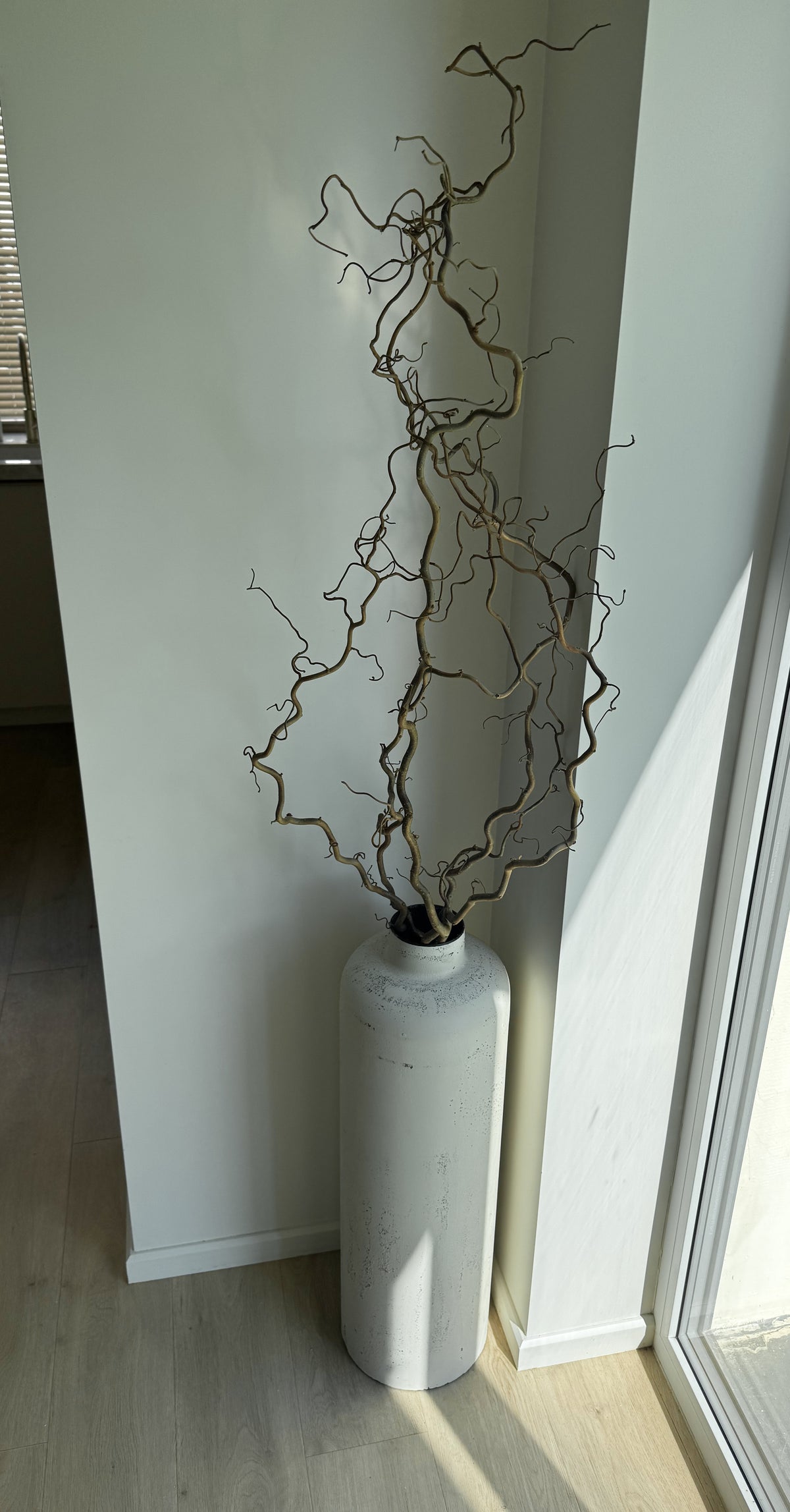 Garbanoto Lazdyno Šakelė 130-140 cm