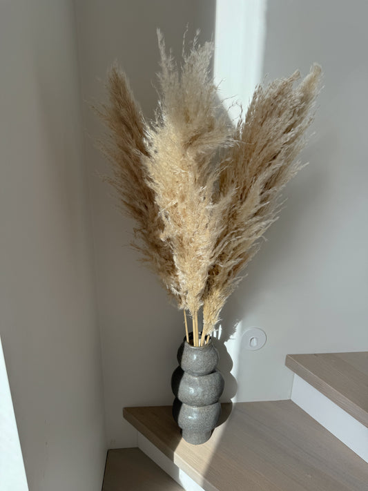 Kortaderijos Natūralios Spalvos 100cm