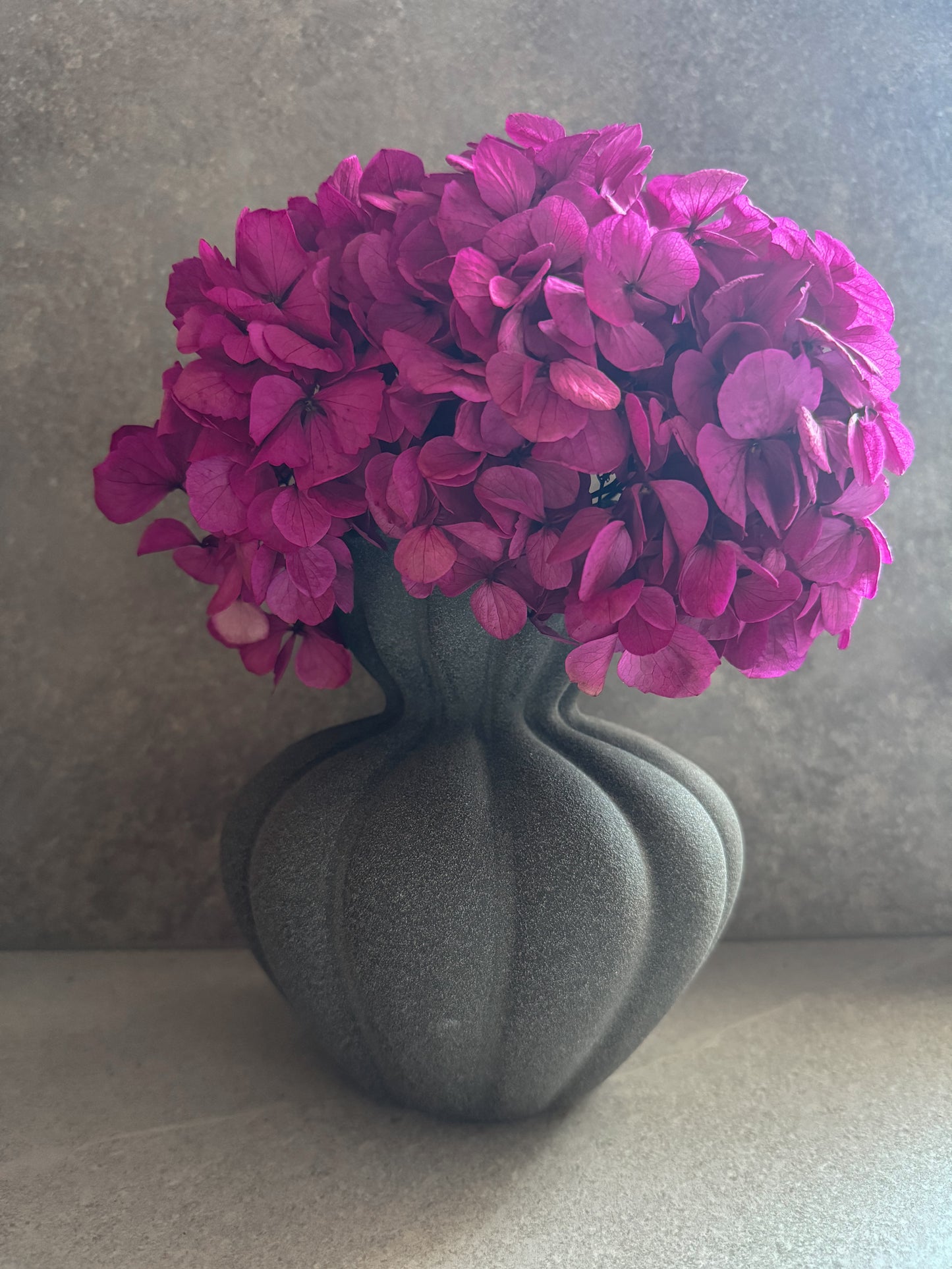 Stabilizuota Hortenzija Su Vaza