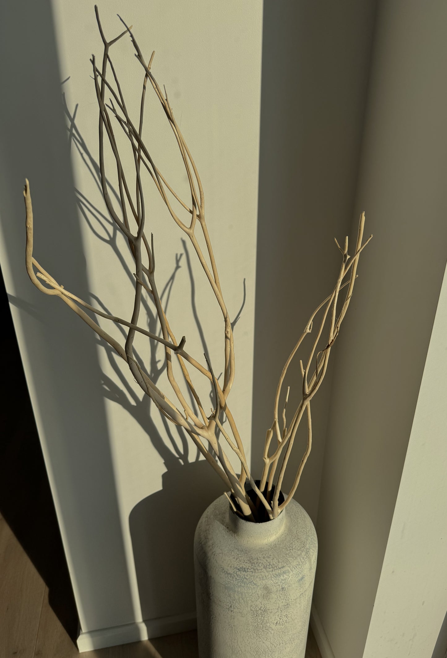 Mitsumata Šakelės Su Vaza