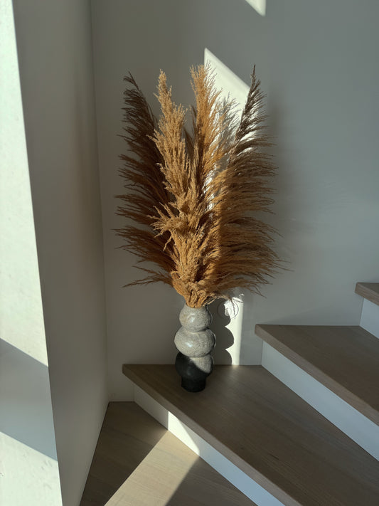 Natūralios Spalvos Kortaderija 100 cm
