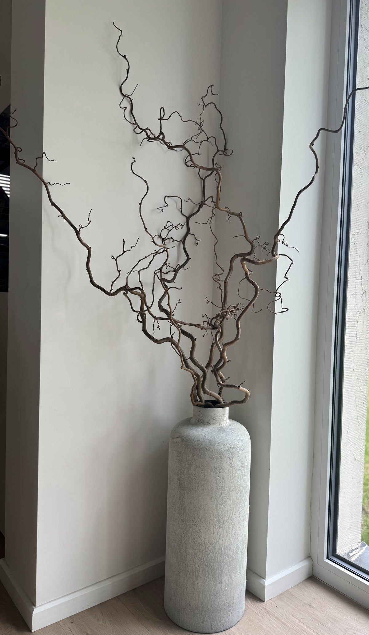 Garbanoto Lazdyno Šakelė 100-120cm