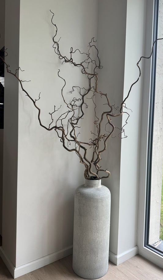 Garbanoto Lazdyno Šakelė 100-120cm