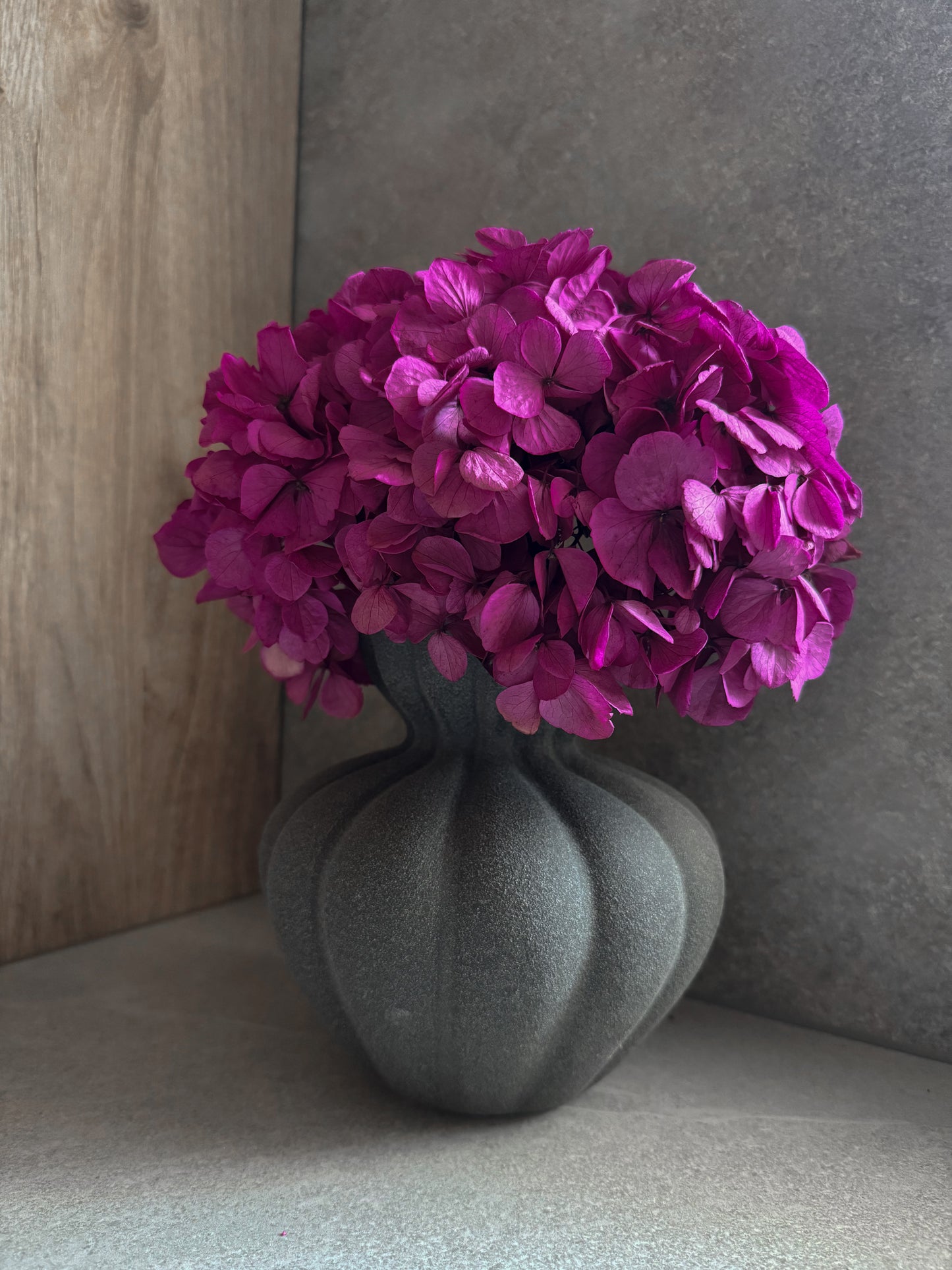 Stabilizuota Hortenzija Su Vaza