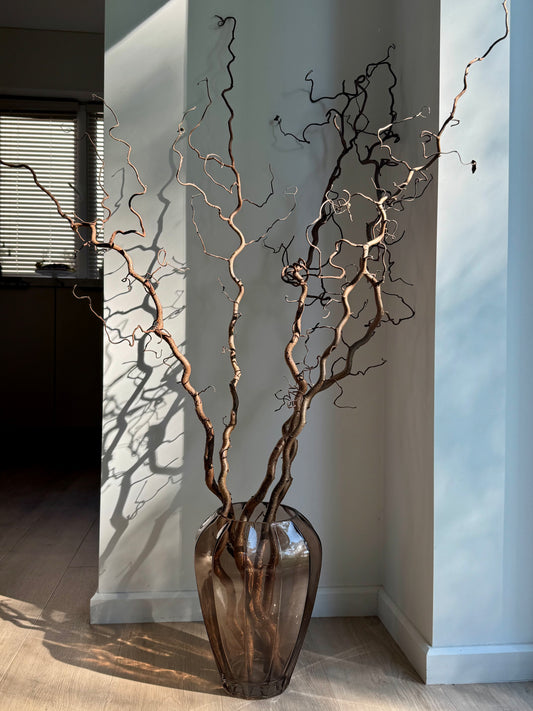 Garbanoto Lazdyno Šakelė 130 cm