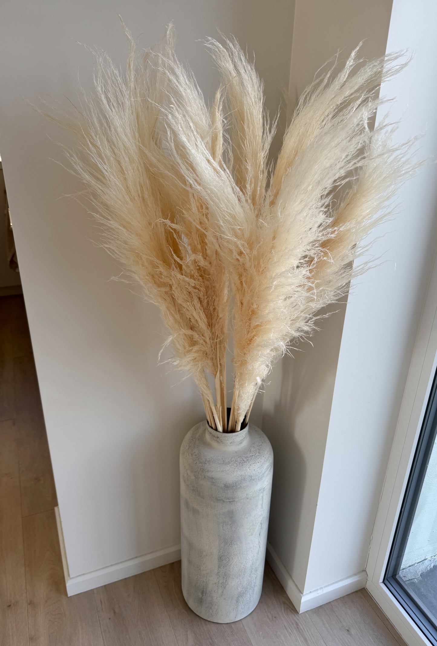 Balintos Kortaderijos 140 cm