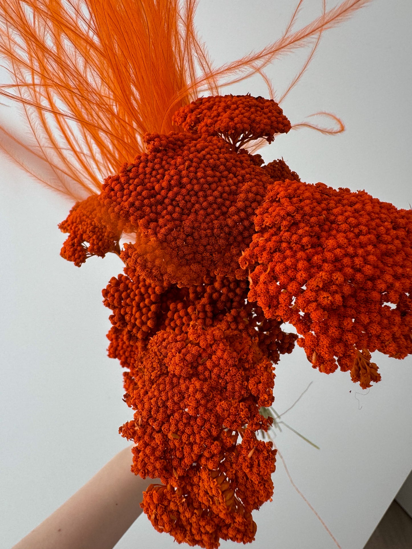 Puokštė Amber Flame