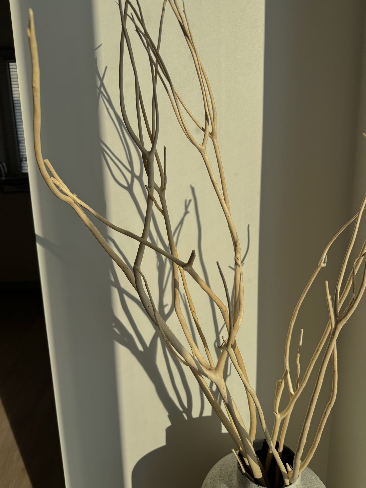 Mitsumata Šakelės Su Vaza