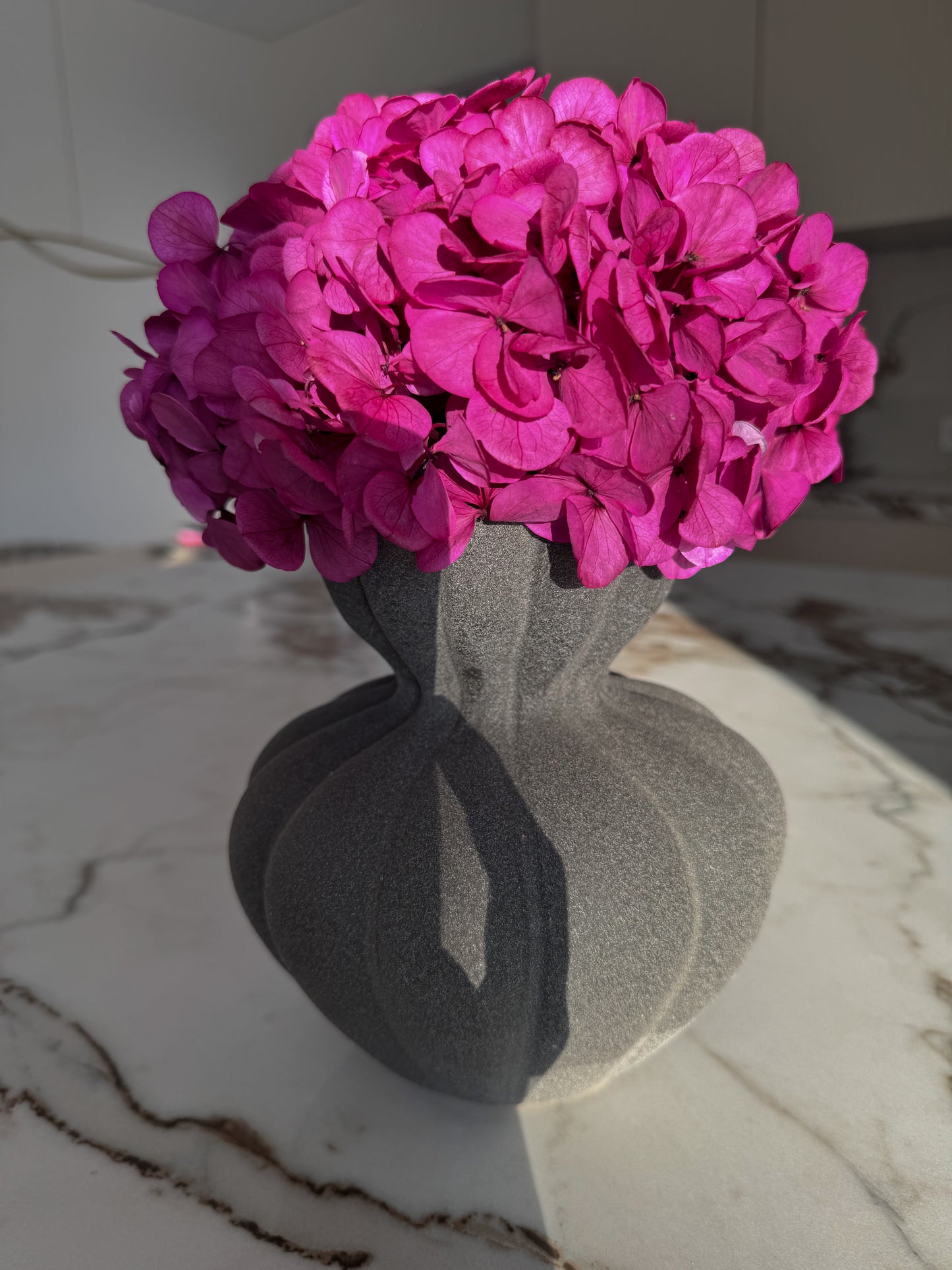 Stabilizuota Hortenzija Su Vaza