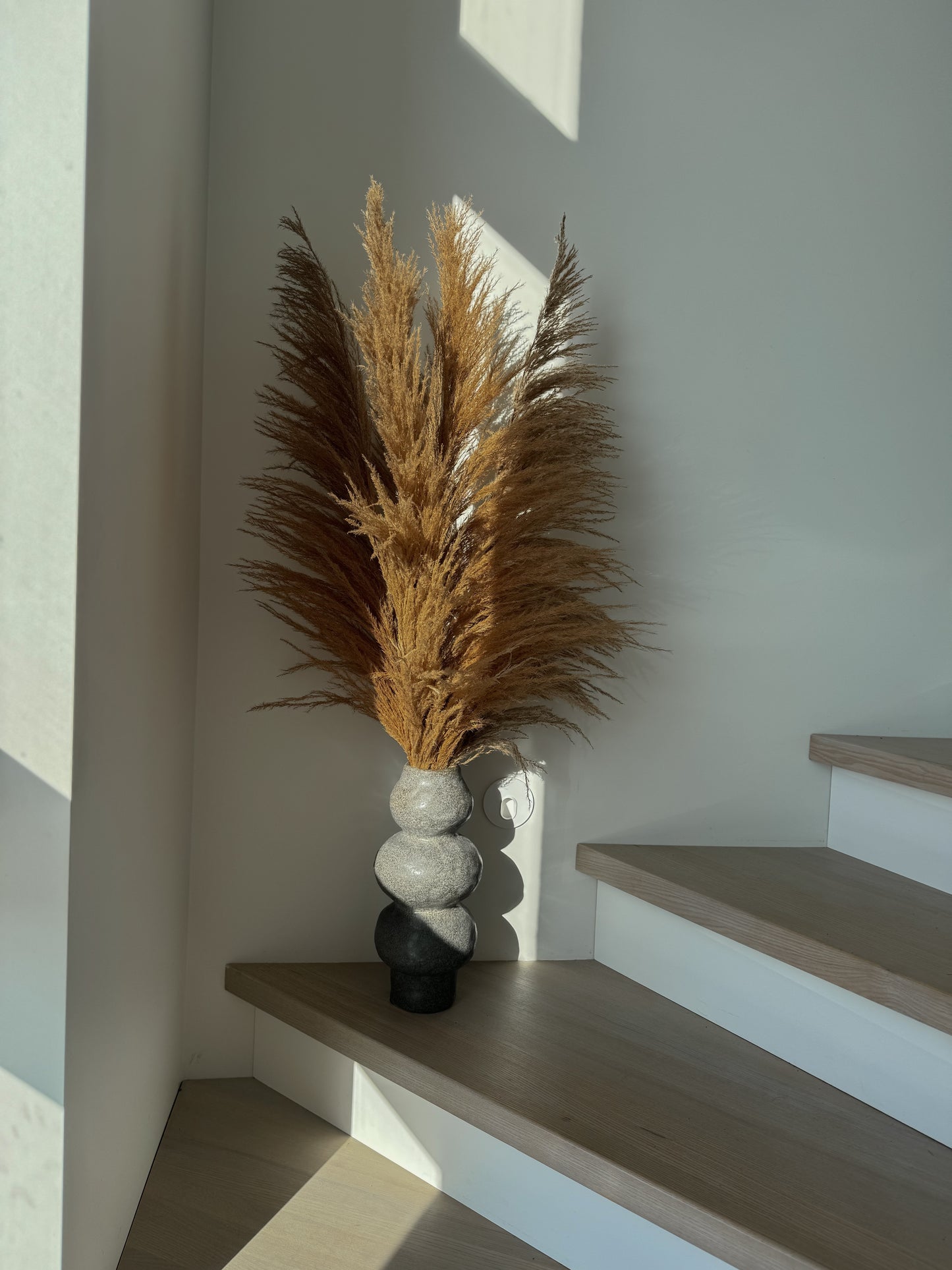 Kortaderijų Puokštė Su Vaza