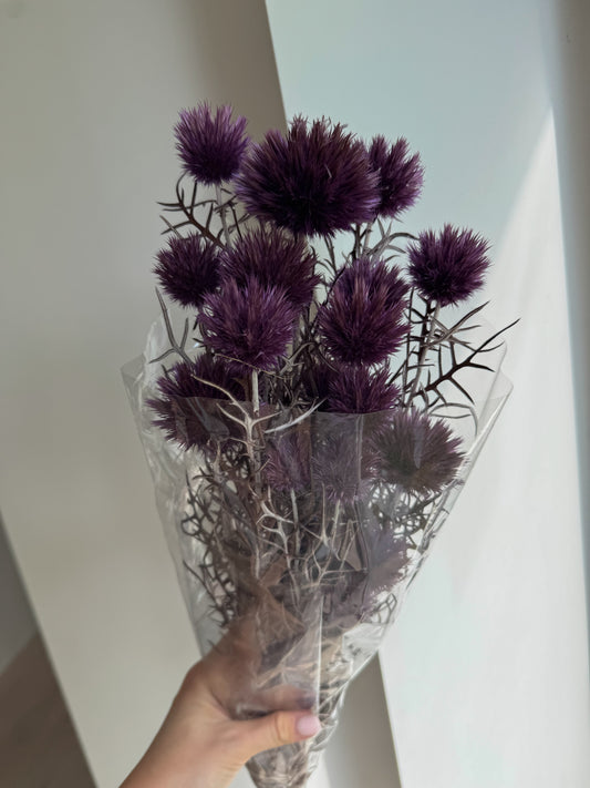 Stabilizuotas Bandrenis Milka