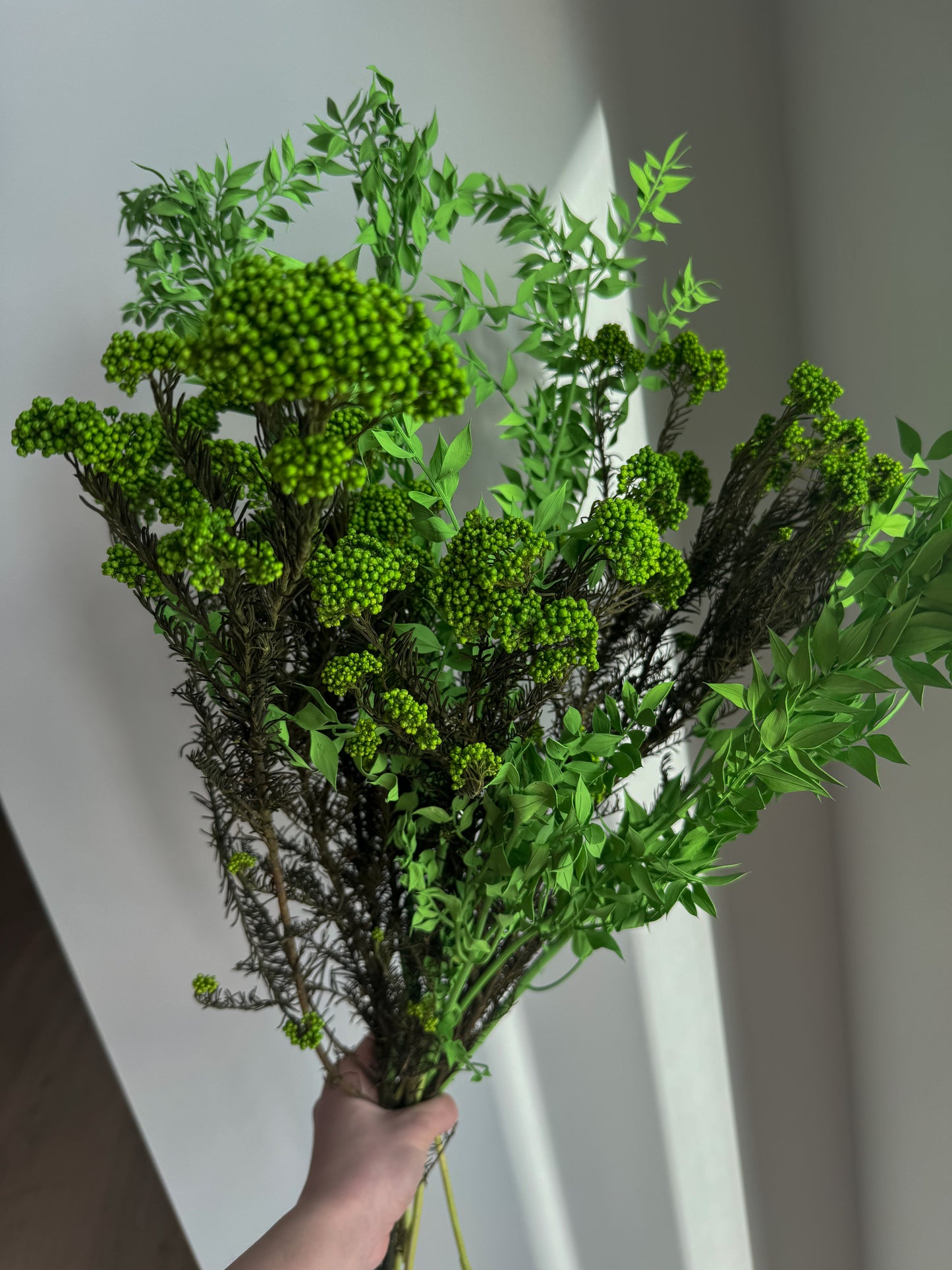 Puokštė Laukų Gaiva