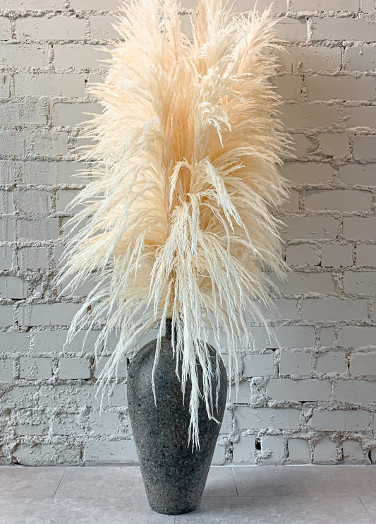 Balinta Zaquara Kortaderija 160 cm