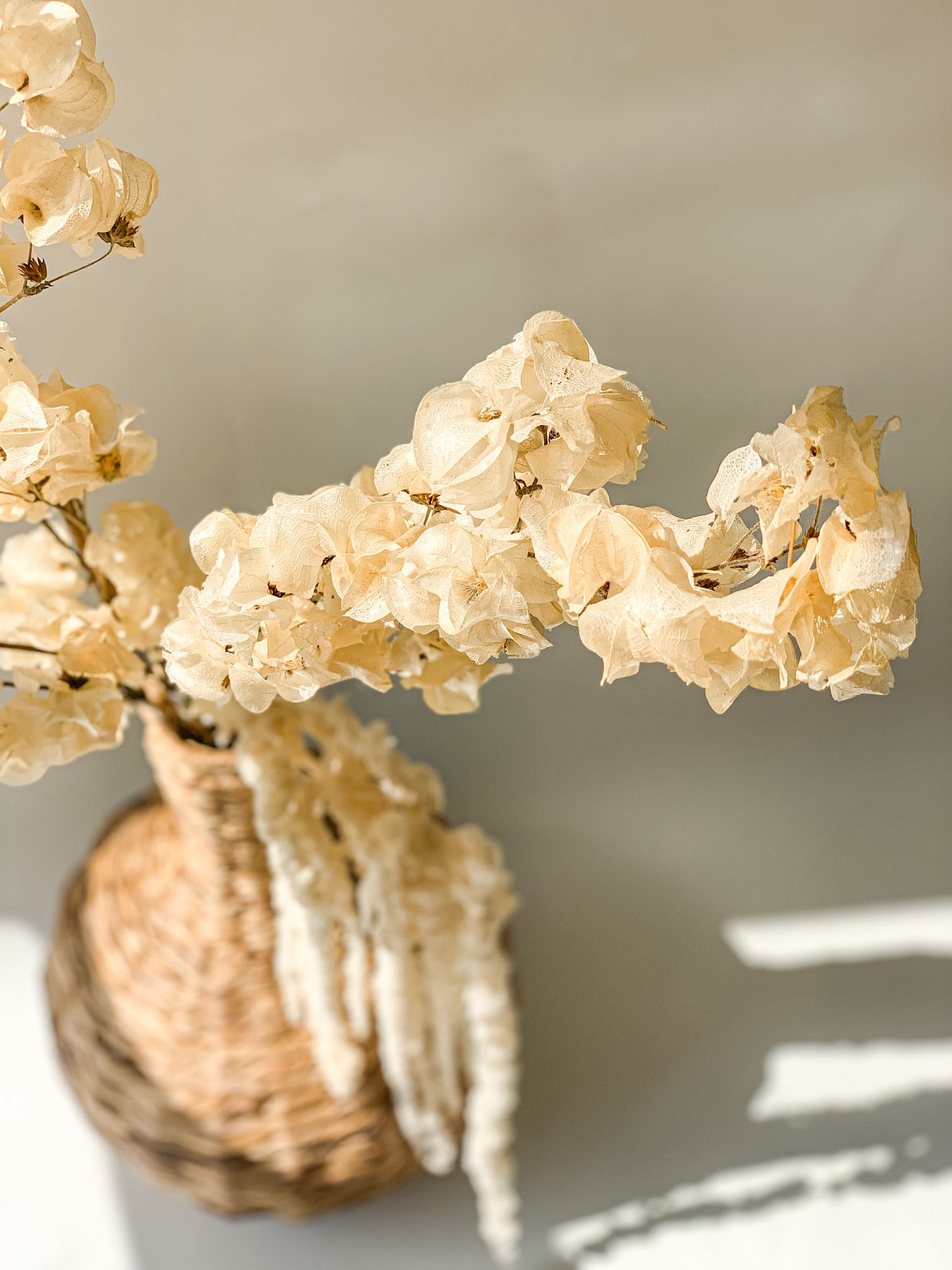 Bugenvilijos Puokštė "Boho"