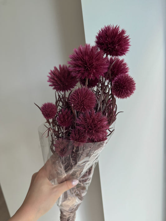 Stabilizuotas Bandrenis Mauve
