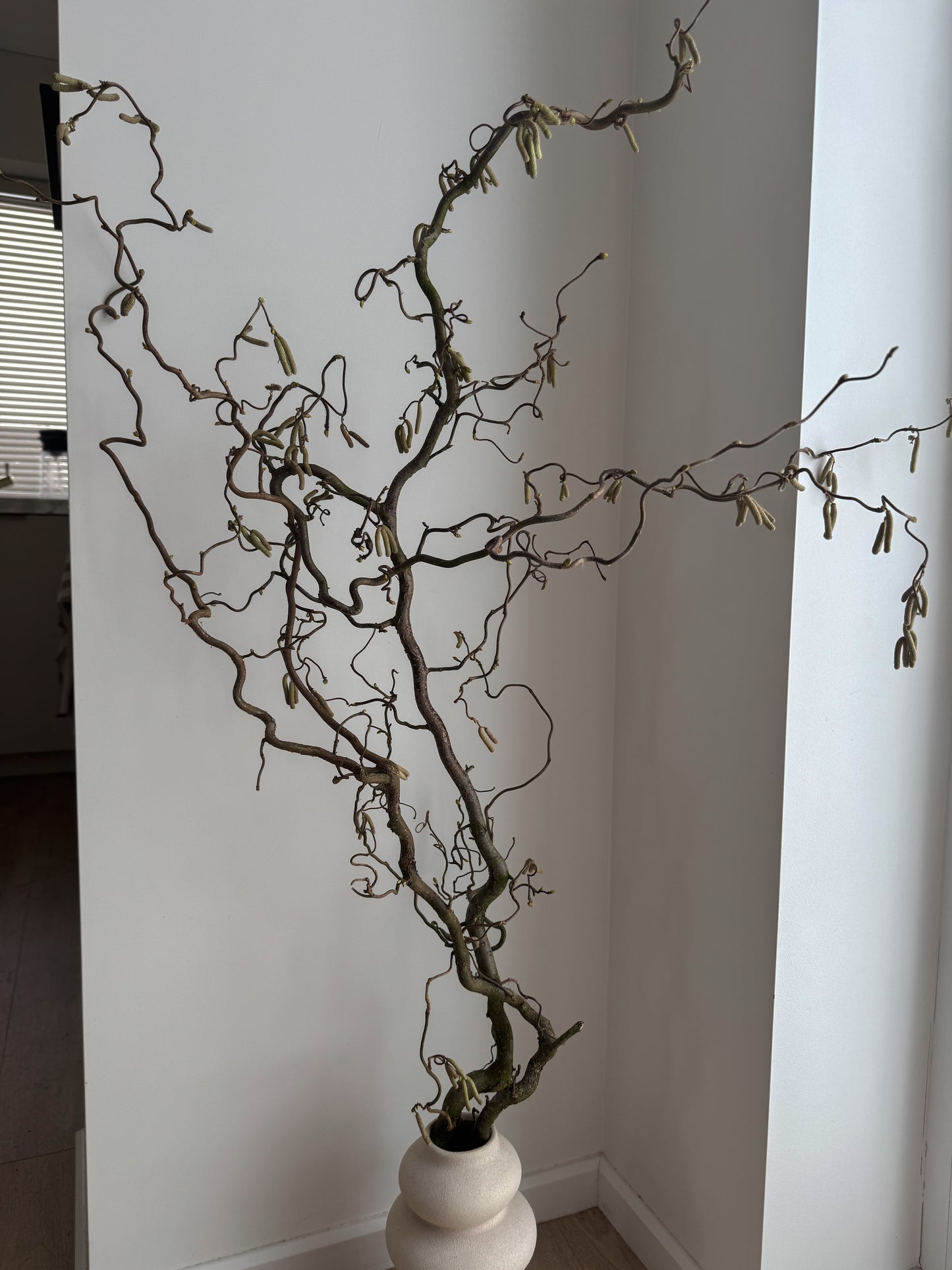 Lazdyno Šakelė 120cm