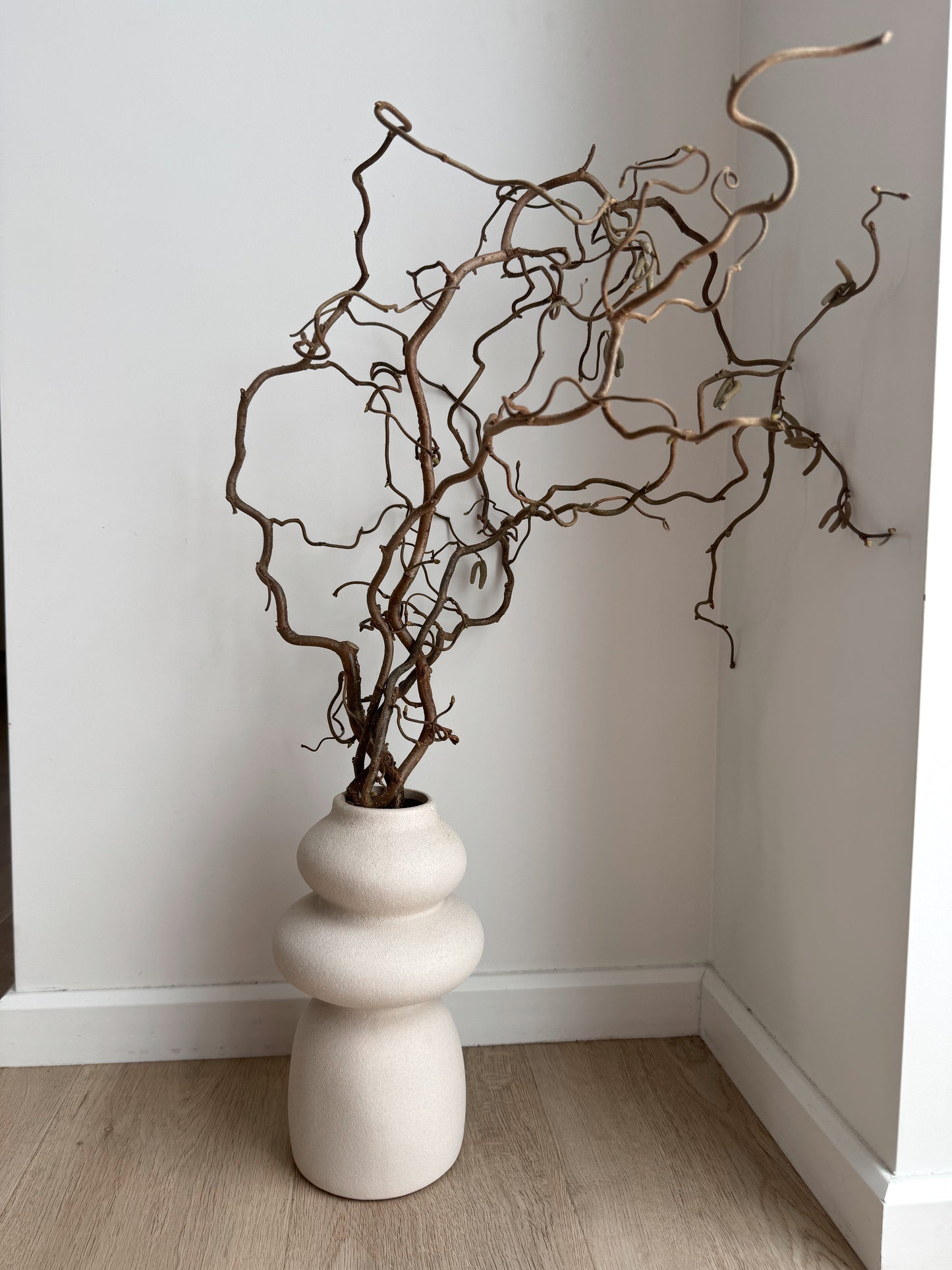 Lazdyno Šakelė 50cm