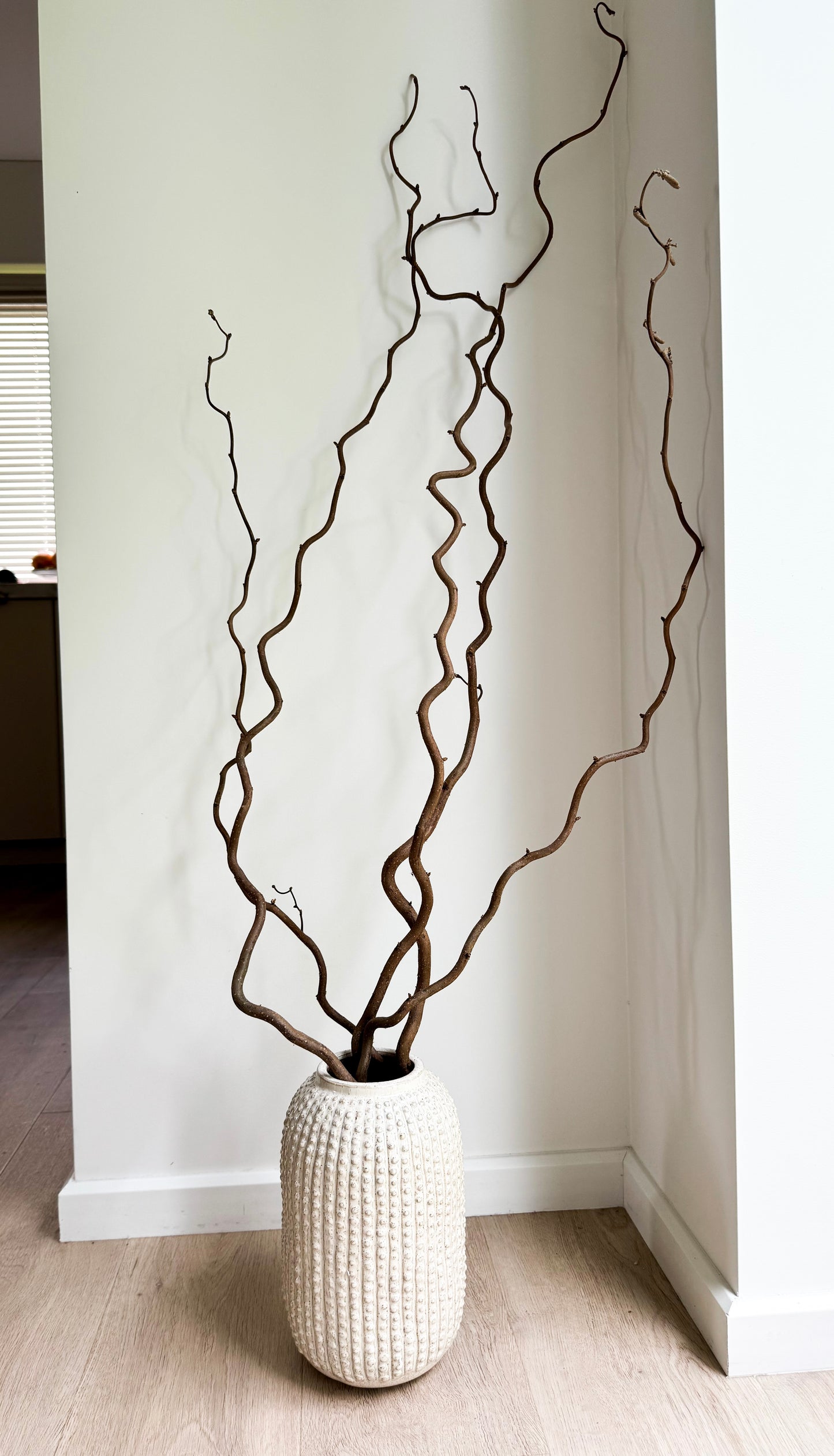 Garbanoto Lazdyno Šakelė 60 cm