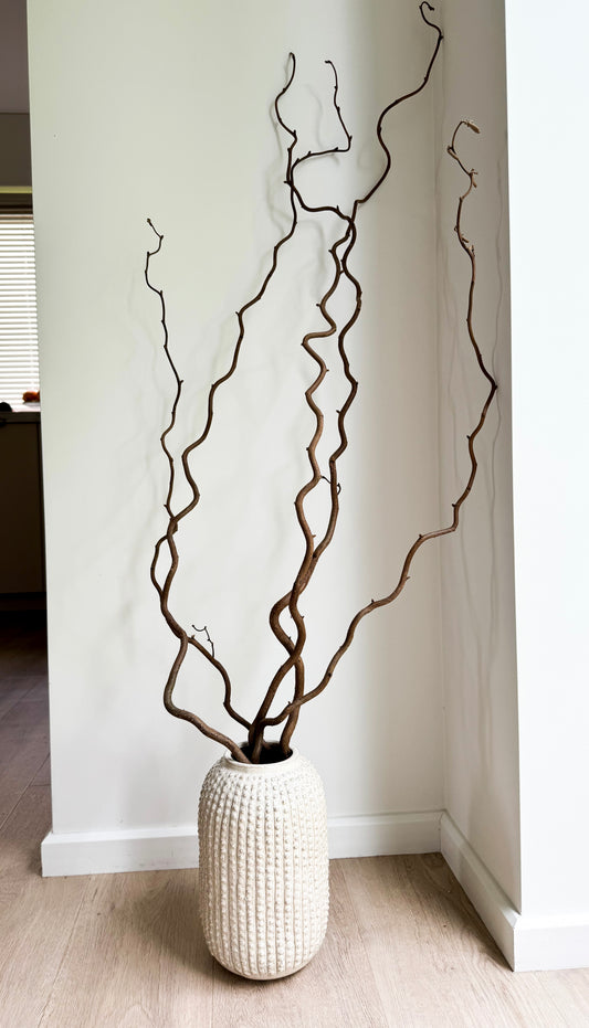 Garbanoto Lazdyno Šakelė 60 cm