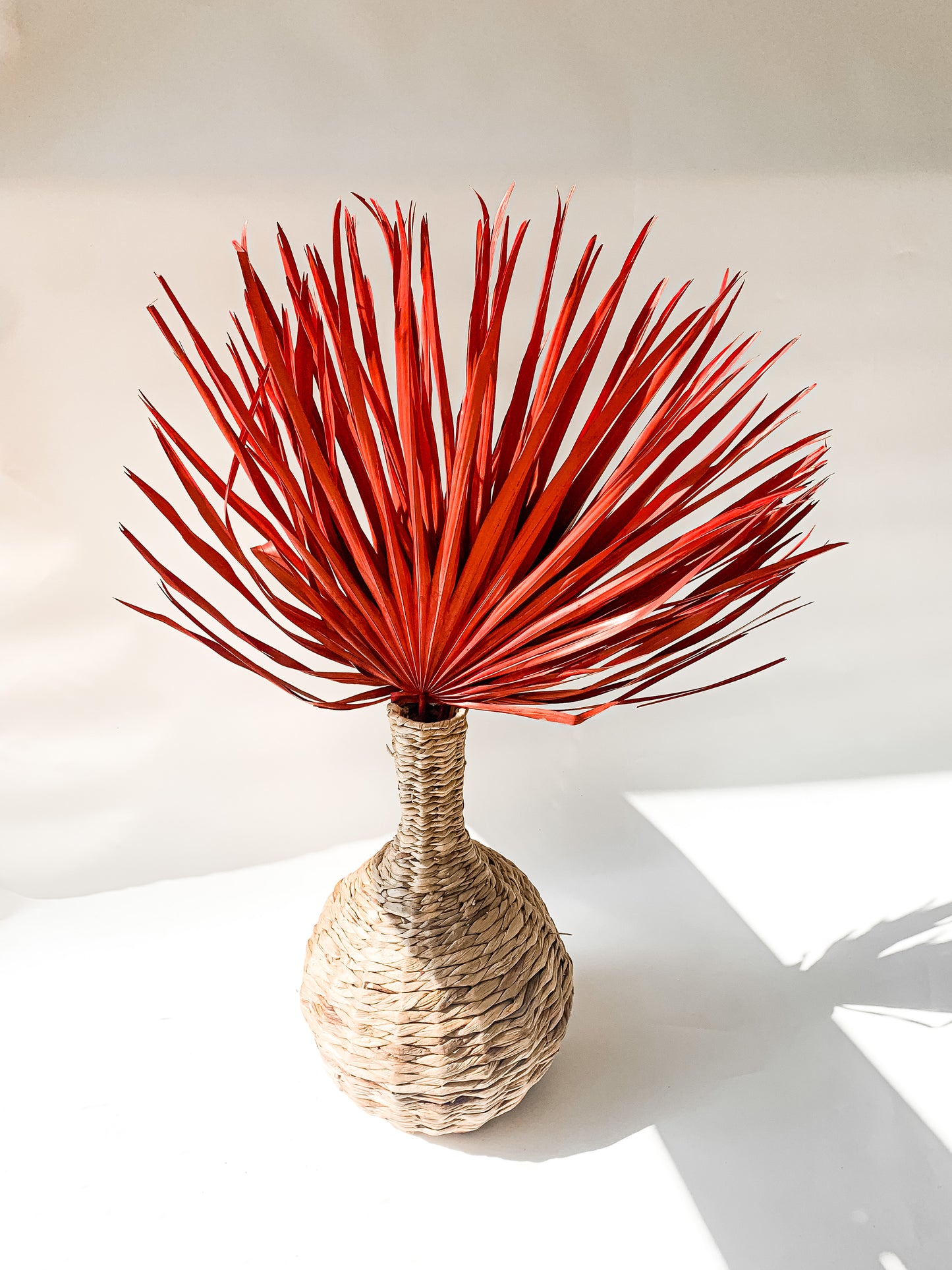 Dideli Palmės Lapai