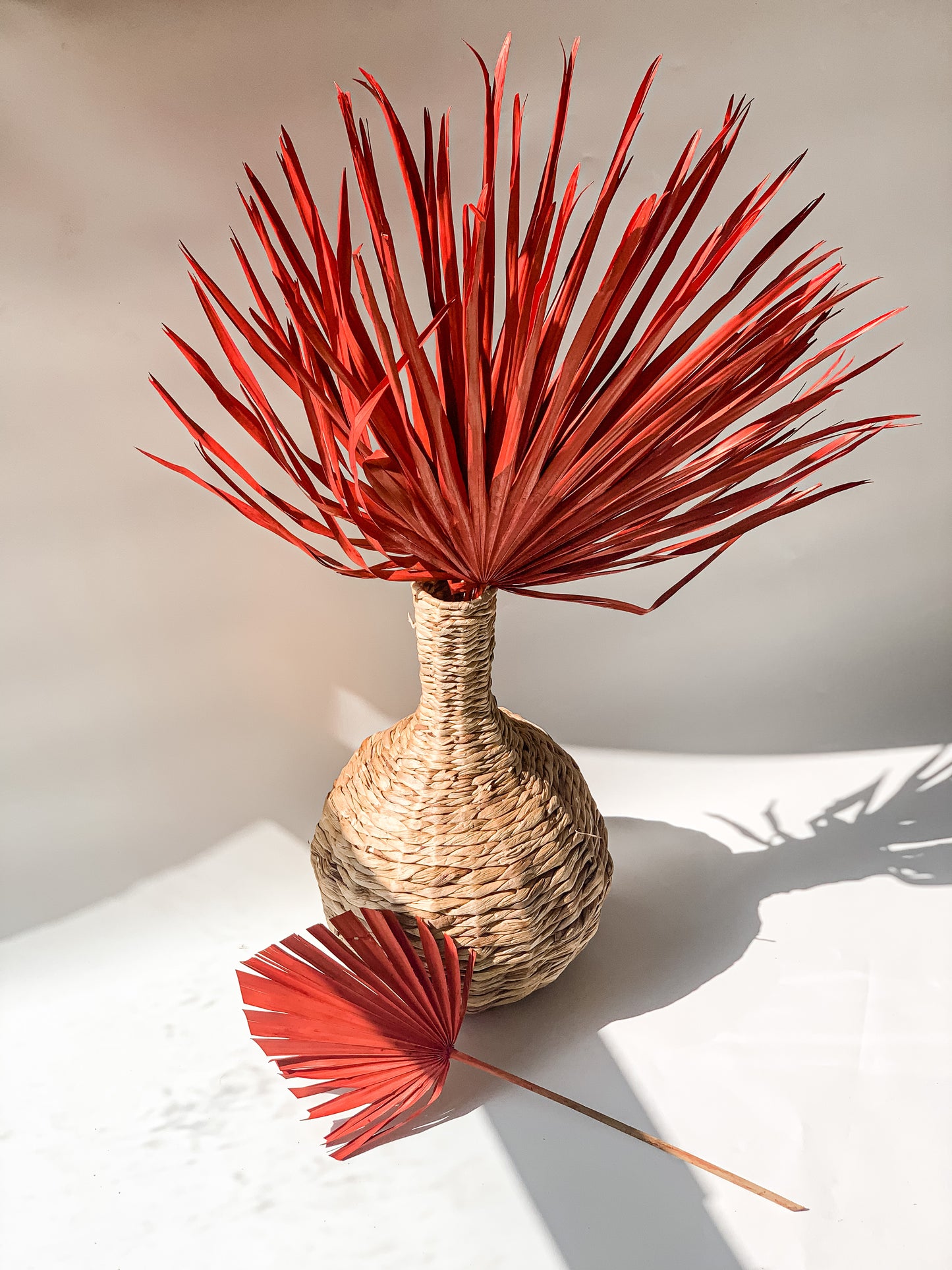 Dideli Palmės Lapai