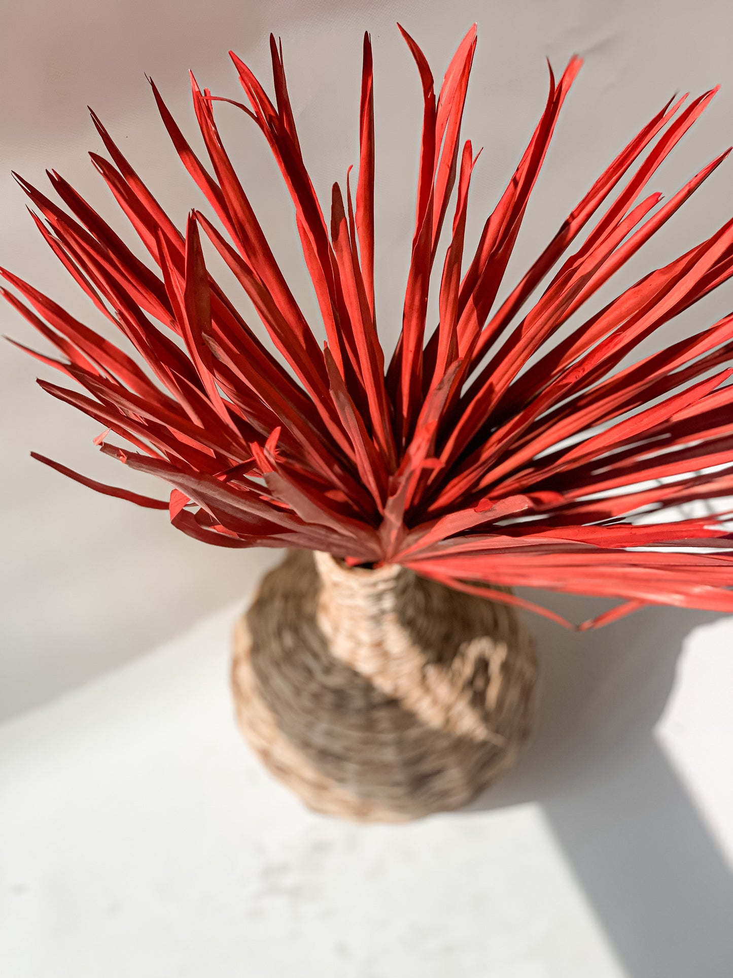 Dideli Palmės Lapai