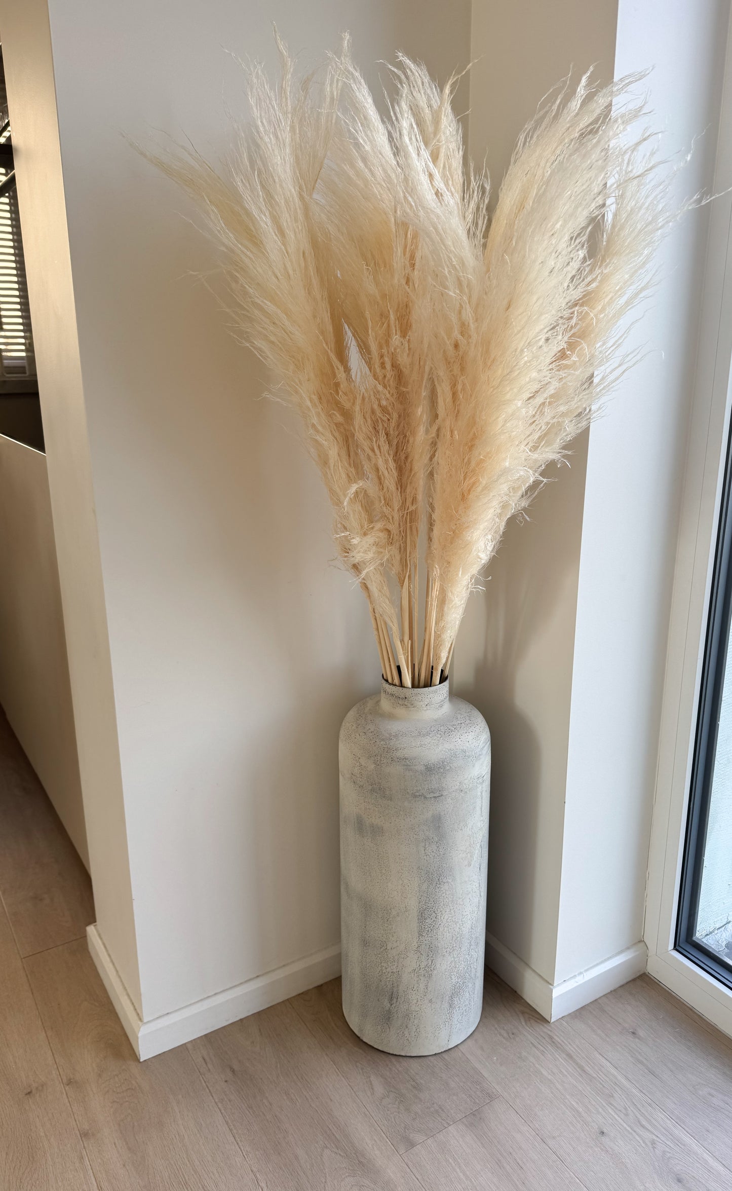 Balintos Kortaderijos 140 cm