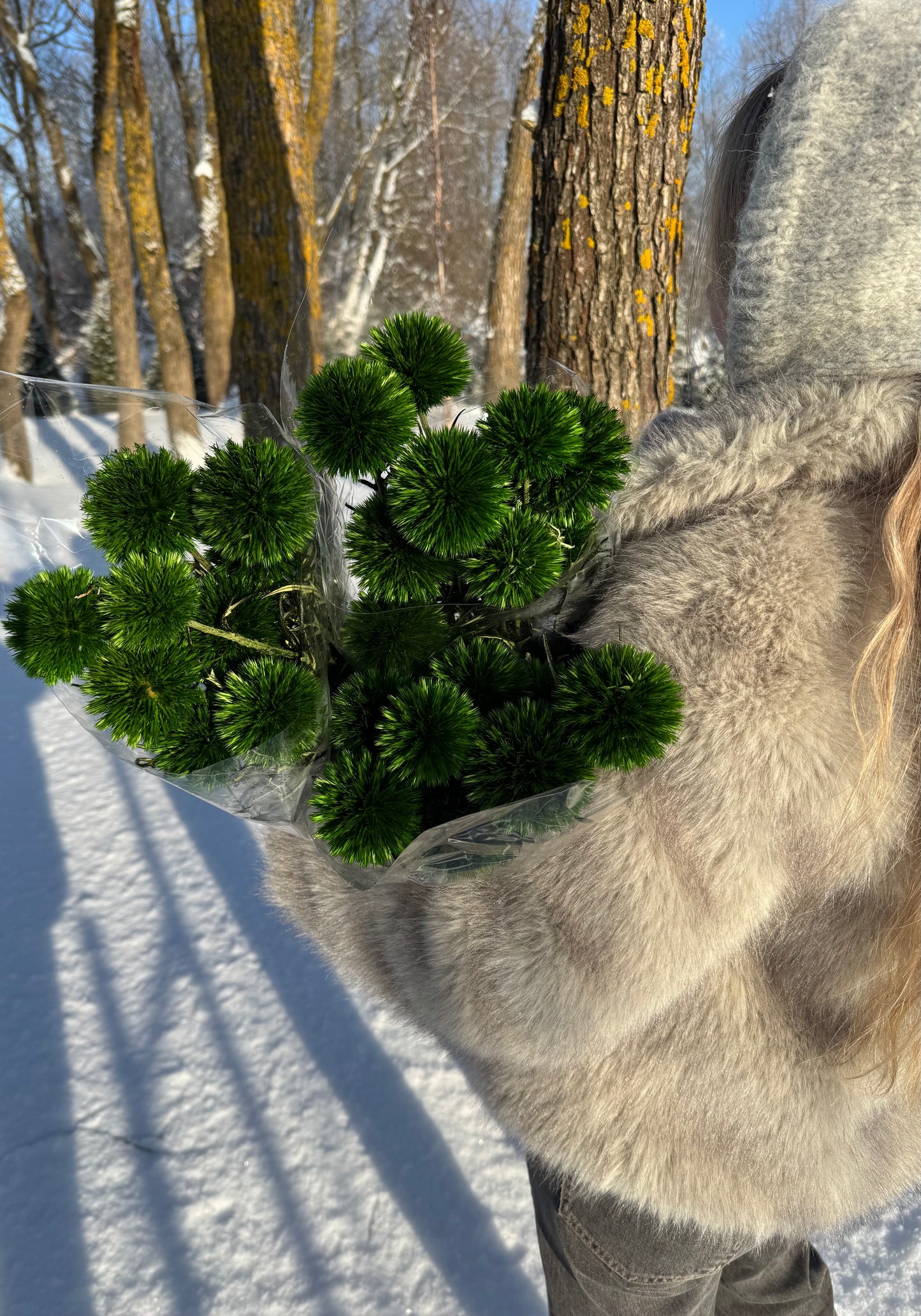 Bandrenis Tamsiai Žalias