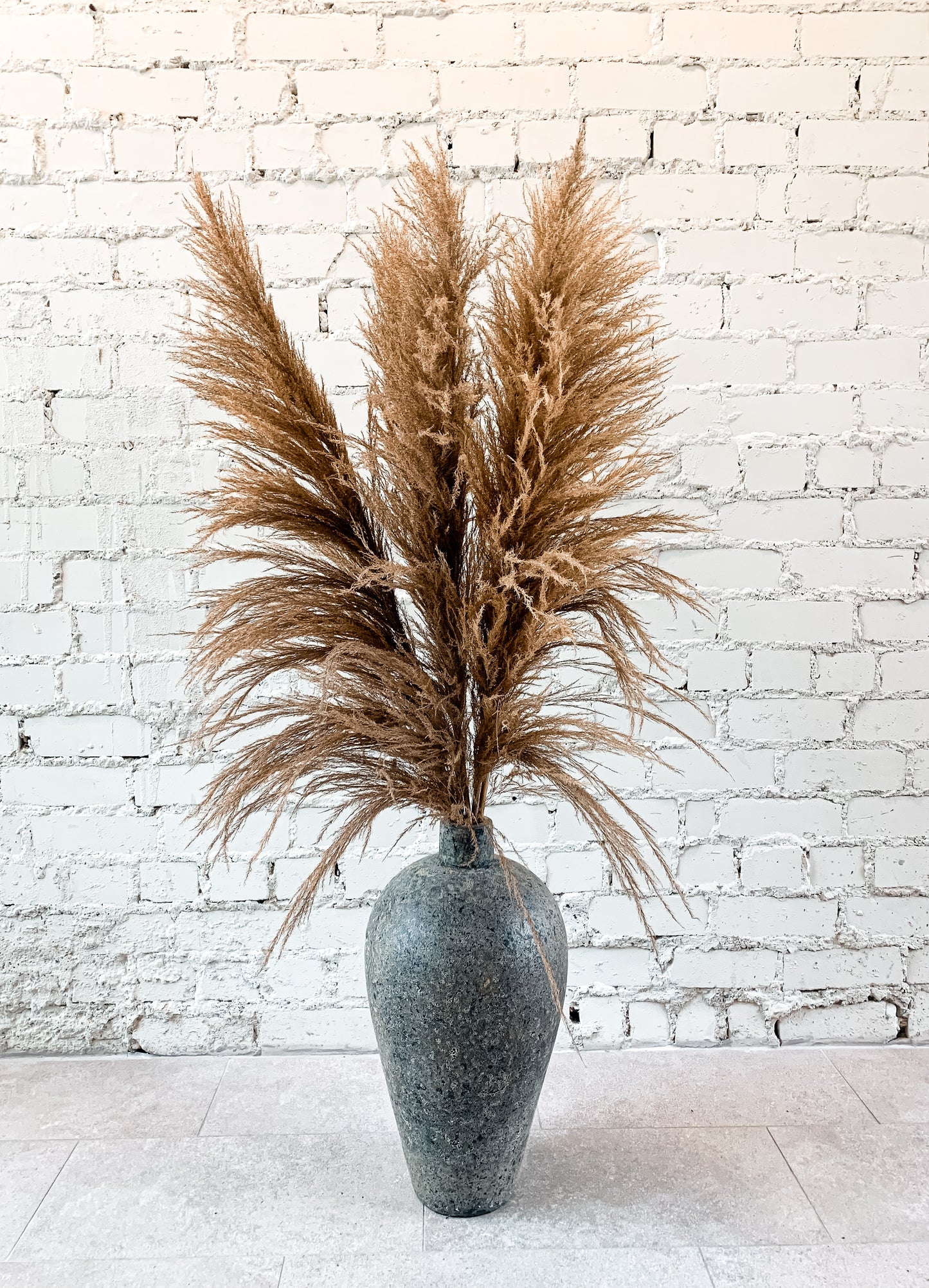 Natūralios Spalvos Zaquara Kortaderija 140 cm