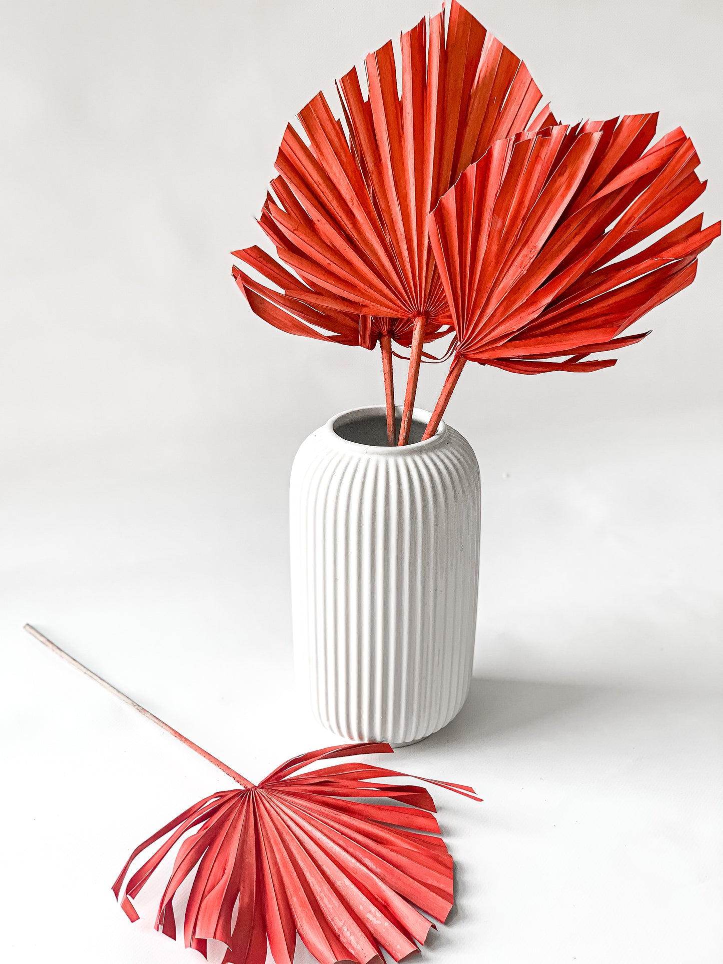 Palmės Lapai Raudonos Spalvos