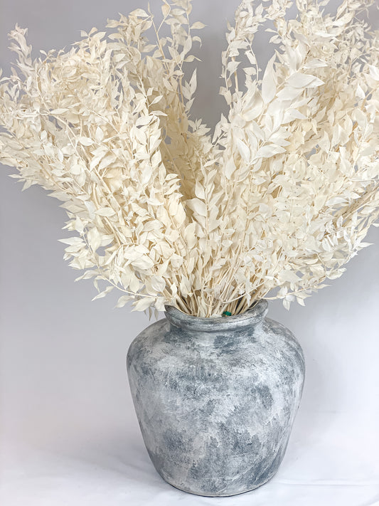 Balintos Ruscus Šakelės 5 vnt. Puokštėje