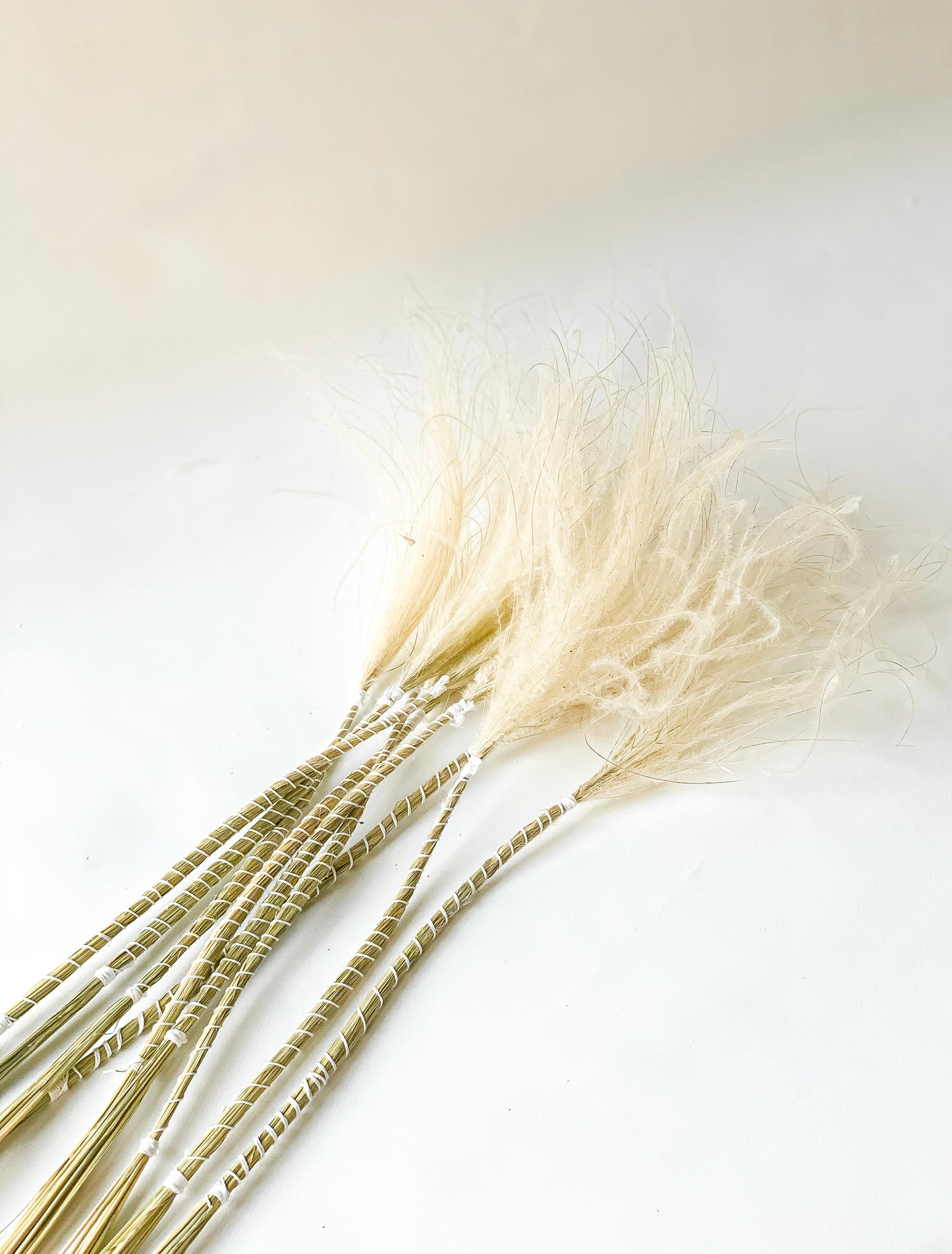 Balinta Plunksninė Ašuotė Stipa Pennata