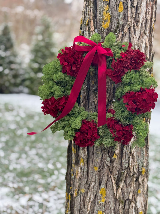 Vainikas Žiemos Sodas