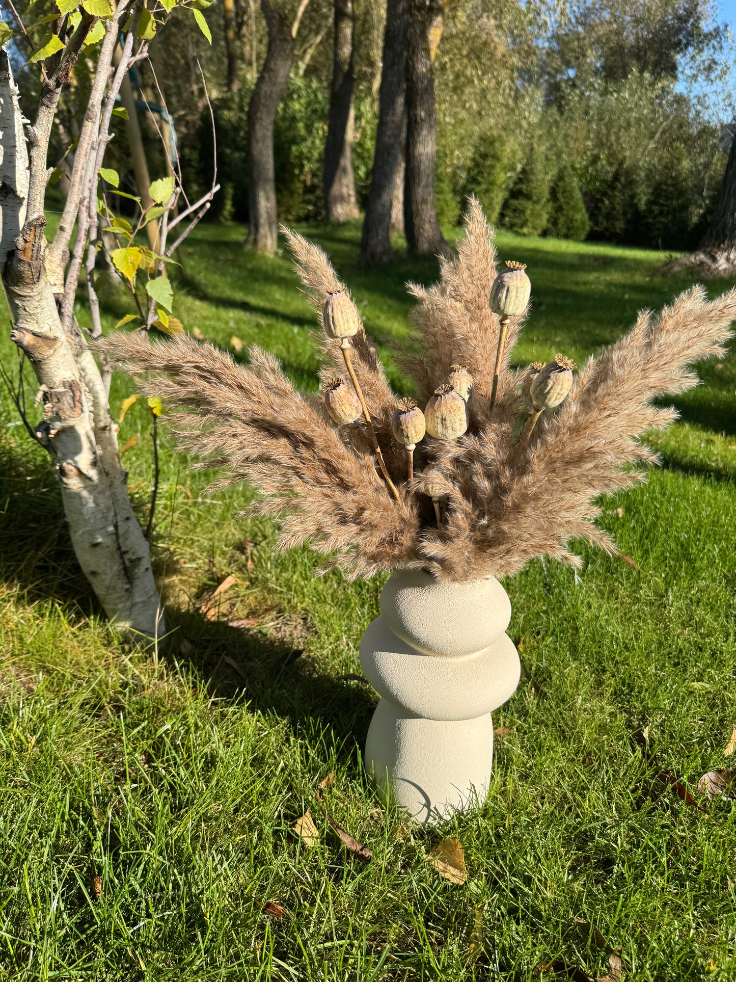 Pampų Ir Aguonų Puokštė