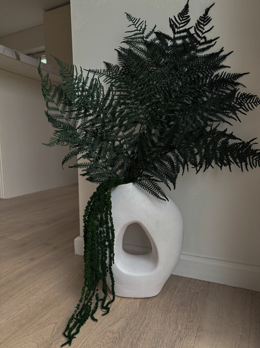 Stabilizuotas Papartis Kartu Su Burnočiu