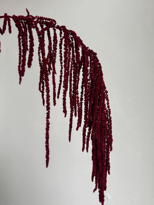 Stabilizuotas Burnotis Burgundiškos Spalvos